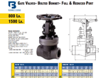 Van cửa thép rèn A105 Boney